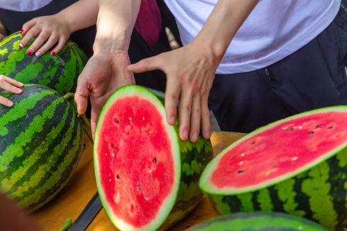 天津学校吃瓜爆料,揭秘校园内幕，真相背后引人深思